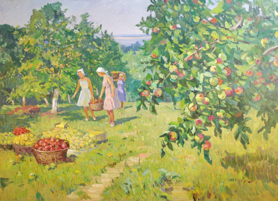 Архивная справка — Коган-Шац сбор яблок